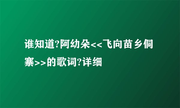 谁知道?阿幼朵<<飞向苗乡侗寨>>的歌词?详细