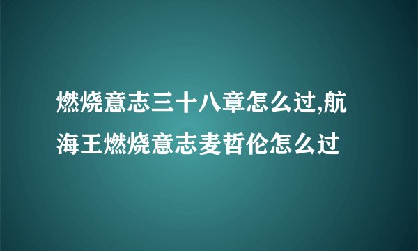 燃烧意志三十八章怎么过,航海王燃烧意志麦哲伦怎么过