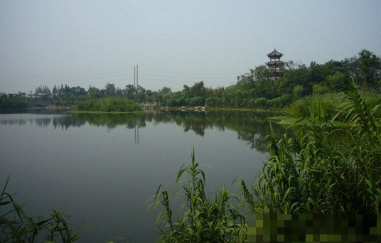 清水河公园在哪