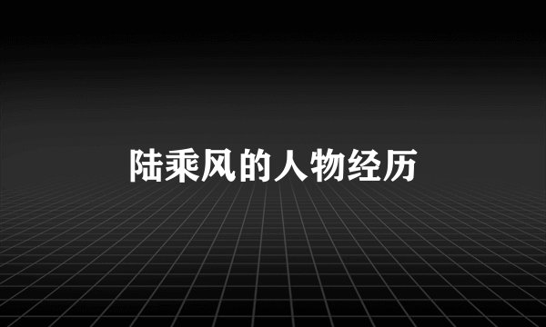 陆乘风的人物经历