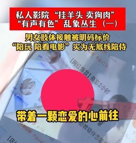 私人影院“恋爱式观影助教”,被曝实为无底线陪侍!