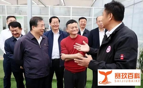 马云卸任浙商总会会长一职,江湖再无“风清扬”?布局才刚开始!