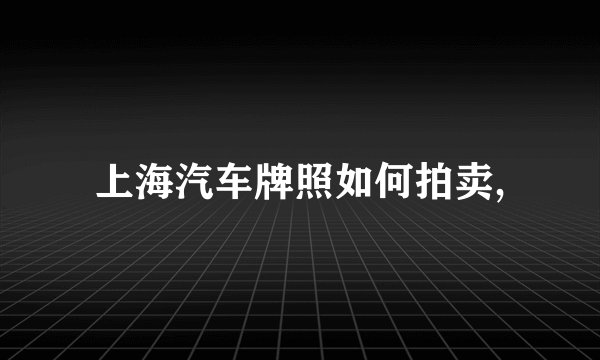 上海汽车牌照如何拍卖,