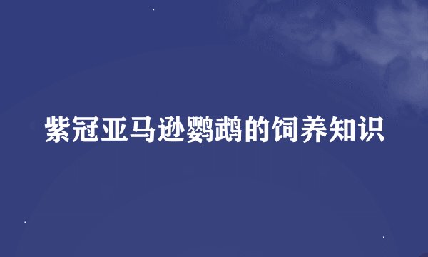 紫冠亚马逊鹦鹉的饲养知识