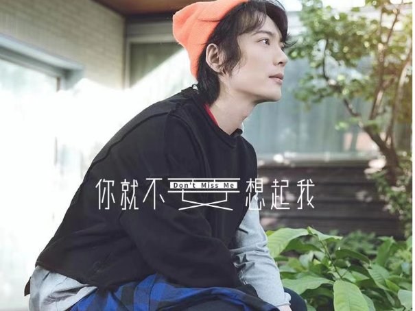 你就不要想起我歌词