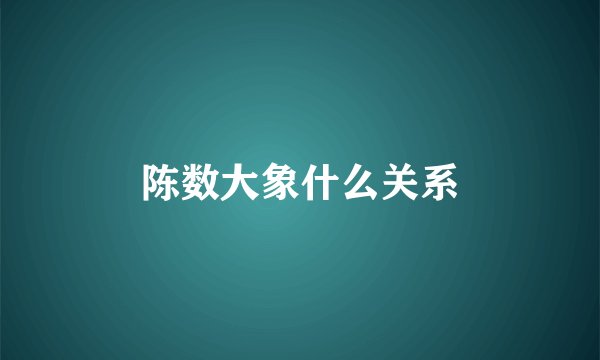陈数大象什么关系