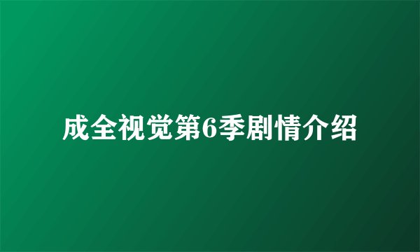 成全视觉第6季剧情介绍
