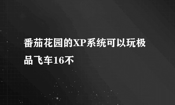 番茄花园的XP系统可以玩极品飞车16不