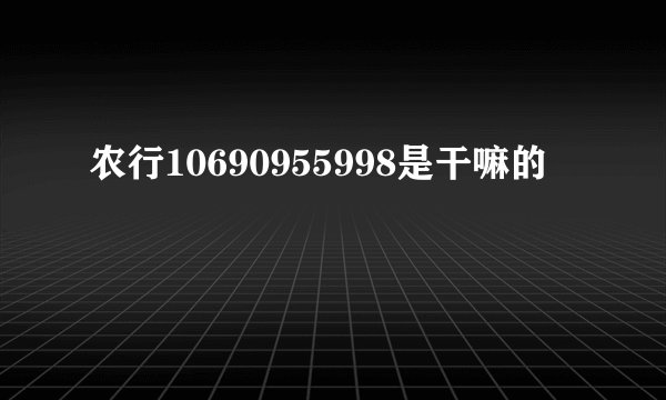 农行10690955998是干嘛的