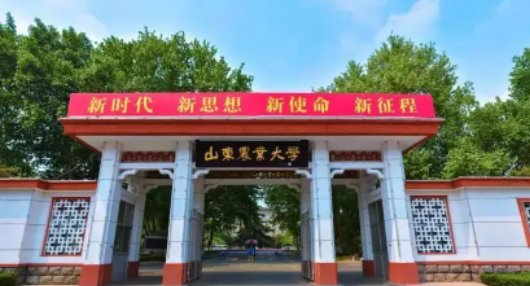 山东农业大学公费农科生2021分数线