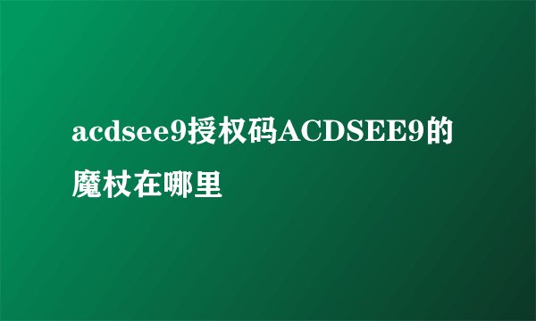 acdsee9授权码ACDSEE9的魔杖在哪里