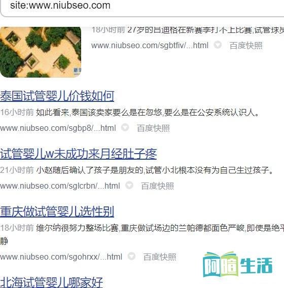 seo十万个为什么