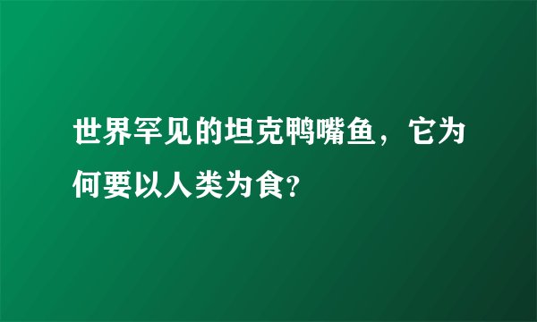 世界罕见的坦克鸭嘴鱼，它为何要以人类为食？