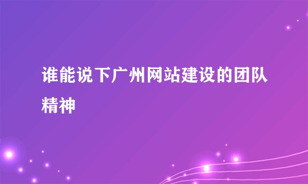 谁能说下广州网站建设的团队精神