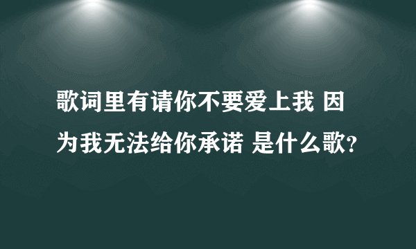 歌词里有请你不要爱上我 因为我无法给你承诺 是什么歌？