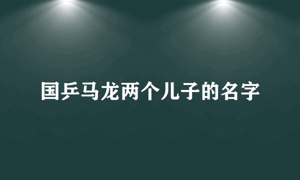 国乒马龙两个儿子的名字