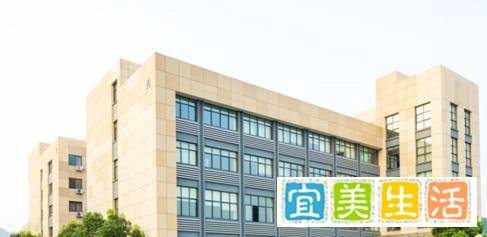 部分产品位列美国关税豁免名单,比依股份迎来重大利好