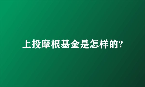 上投摩根基金是怎样的?