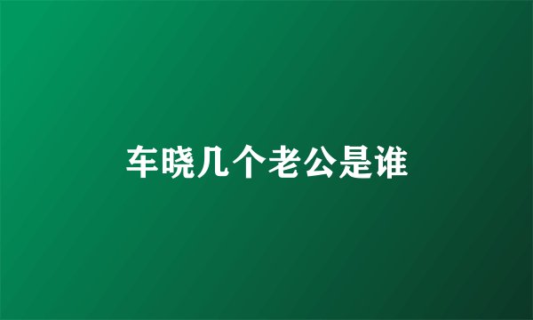 车晓几个老公是谁