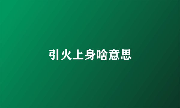 引火上身啥意思