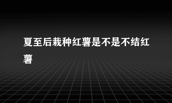 夏至后栽种红薯是不是不结红薯