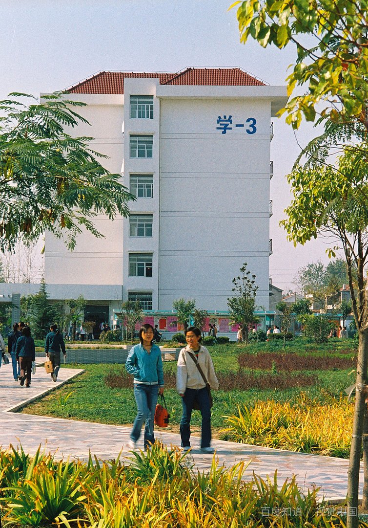 大学生活真的很忙吗?