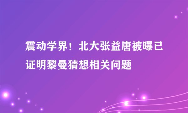震动学界！北大张益唐被曝已证明黎曼猜想相关问题