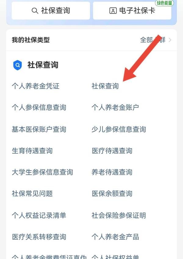 深圳社保个人明细怎么查询