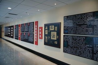 辛巴公司被法院强制执行,通常出现什么情况后才会被强制执行?