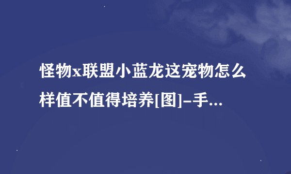 怪物x联盟小蓝龙这宠物怎么样值不值得培养[图]-手游攻略-游戏鸟手游网