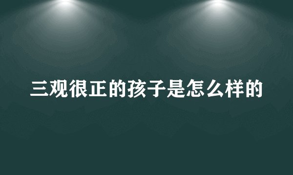 三观很正的孩子是怎么样的