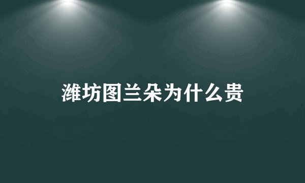 潍坊图兰朵为什么贵