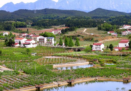 urban和country和suburb和rural和downtown的区别