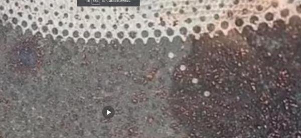 瑞士怎么下起巧克力雨 系工厂通风系统故障造成的