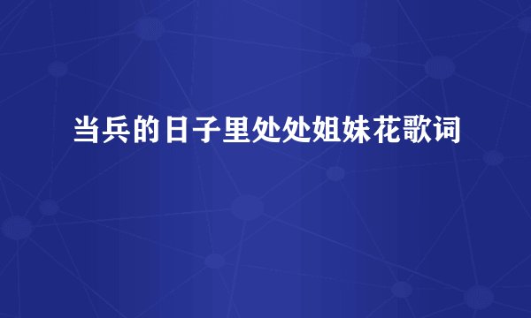 当兵的日子里处处姐妹花歌词