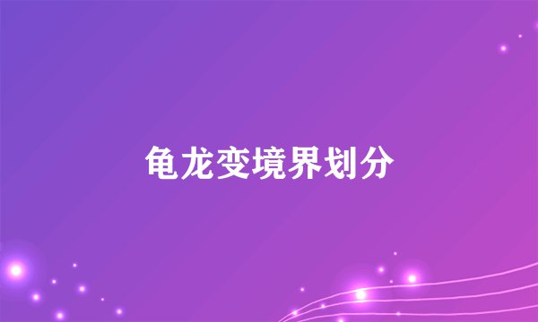 龟龙变境界划分