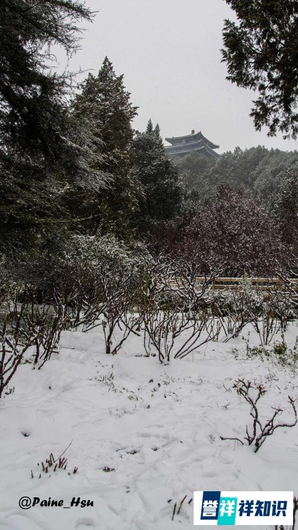 11月的北京 暴雪中的景山