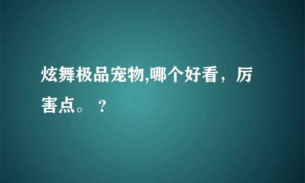 炫舞极品宠物,哪个好看，厉害点。 ？