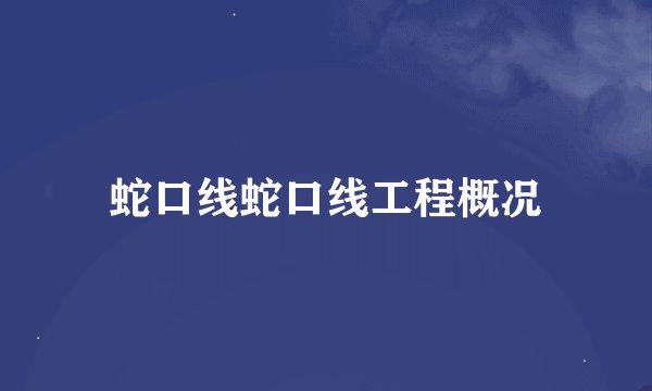 蛇口线蛇口线工程概况
