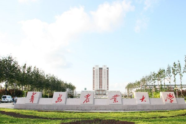 青岛农业大学2023投档线是多少