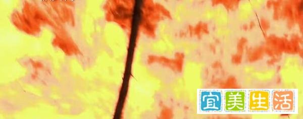 天涯顶级灵异事件之—丹东917事件
