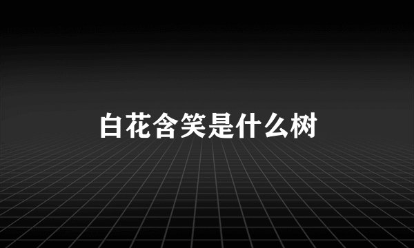 白花含笑是什么树