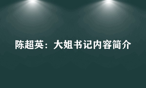 陈超英：大姐书记内容简介