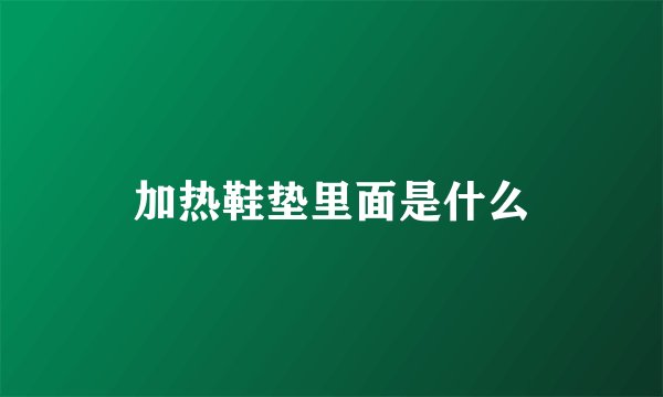 加热鞋垫里面是什么