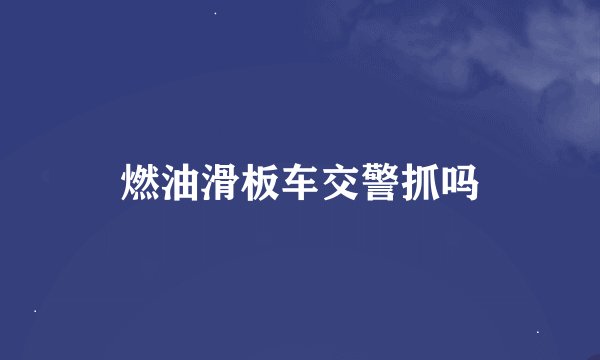 燃油滑板车交警抓吗