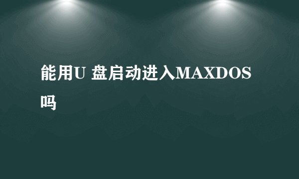 能用U 盘启动进入MAXDOS吗