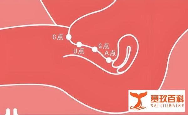 为什么只有绷直了腿才能糕潮啊？