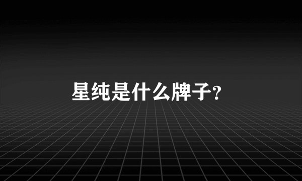 星纯是什么牌子？