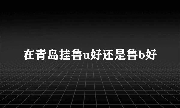 在青岛挂鲁u好还是鲁b好