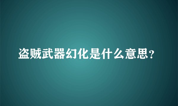 盗贼武器幻化是什么意思？